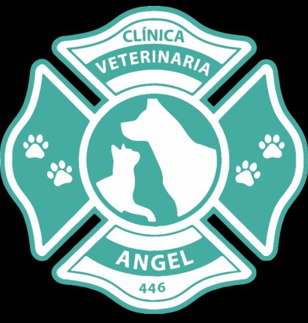 Veterinaria Angel 446