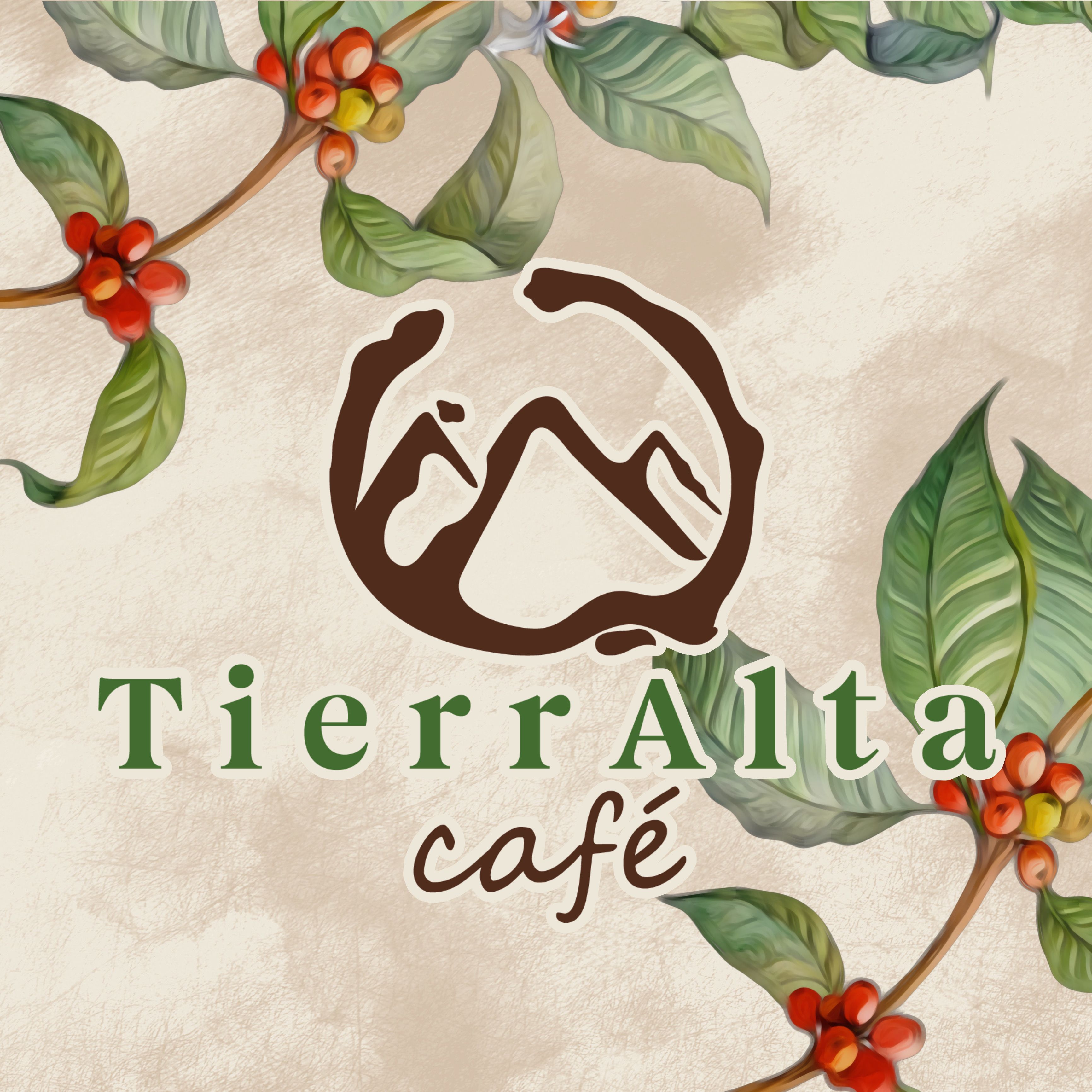 Café Tierralta