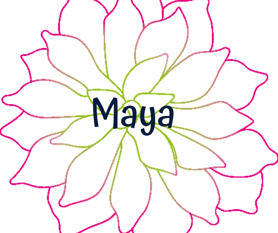 Maya cactus y suculentas 