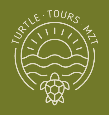 Turtle Tours Mazatlán